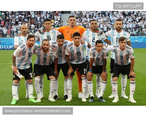 冰岛队在2018年世界杯上的表现描述与拼搏精神分析