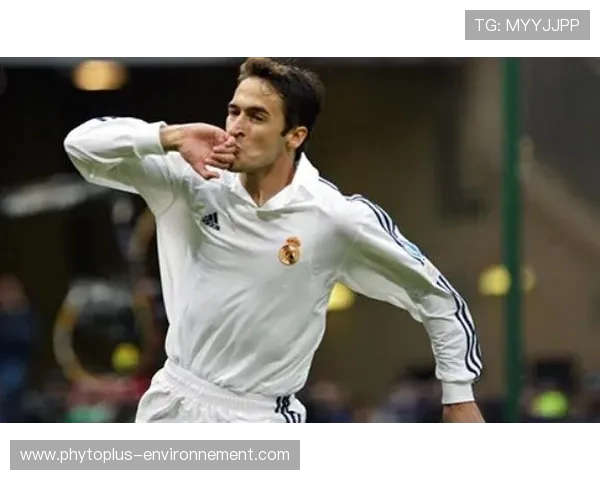 劳尔比赛影响指数持续提升，近期表现稳健