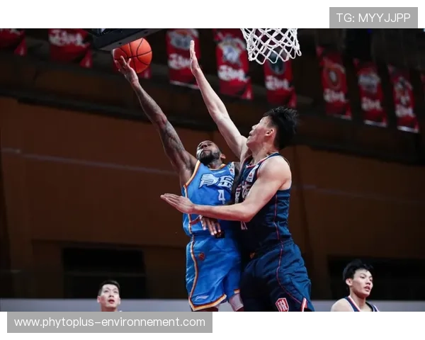 多特蒙德:崛起靠青春风暴,争冠梦碎背后隐现致命短板 多特蒙德:崛起靠青春风暴,争冠梦碎背后隐现致命短板