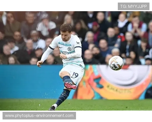 赖斯与基米希：全能中场框架下的角色定位与战术适配差异分析