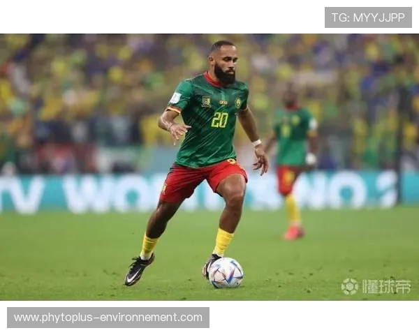 厄德高体系依赖与个人能力的战术适配差异解析