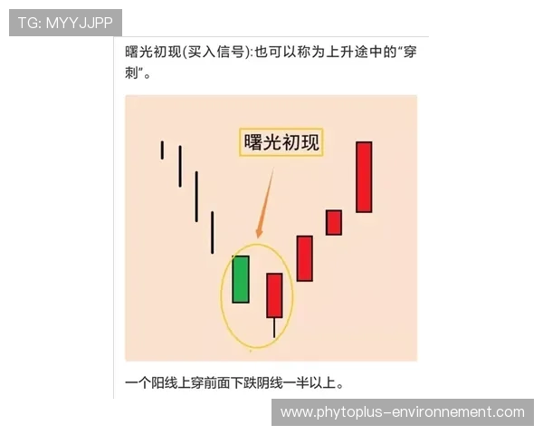 支点+终结结合:弗拉霍维奇的战术价值 支点+终结结合:弗拉霍维奇的战术价值