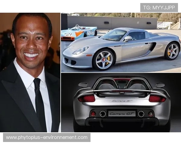 泰格·伍兹车库停的车比你家楼还贵