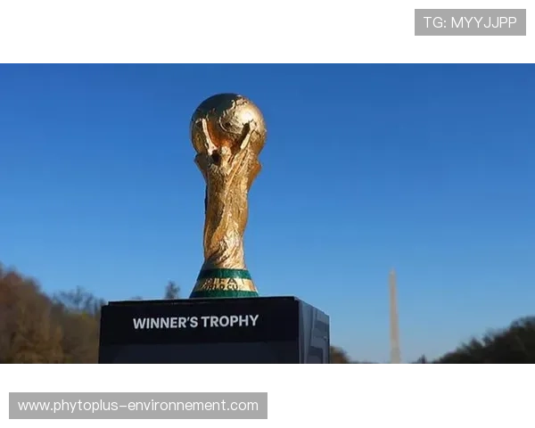 2026世界杯开幕战赛前训练是否对外开放 2026世界杯开幕战赛前训练是否对外开放